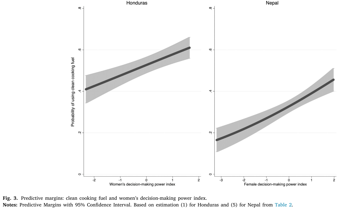 Women's decision-making power, cooking fuel adoption and appliance ownership: Evidence from Rwanda, Nepal and Honduras — key figure